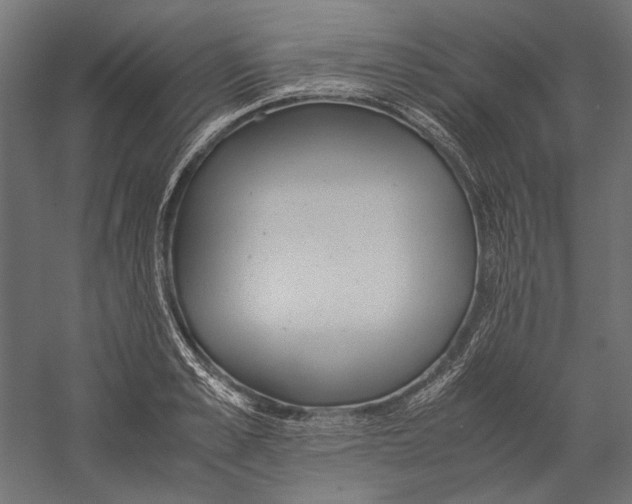 X0000060230989200511241302