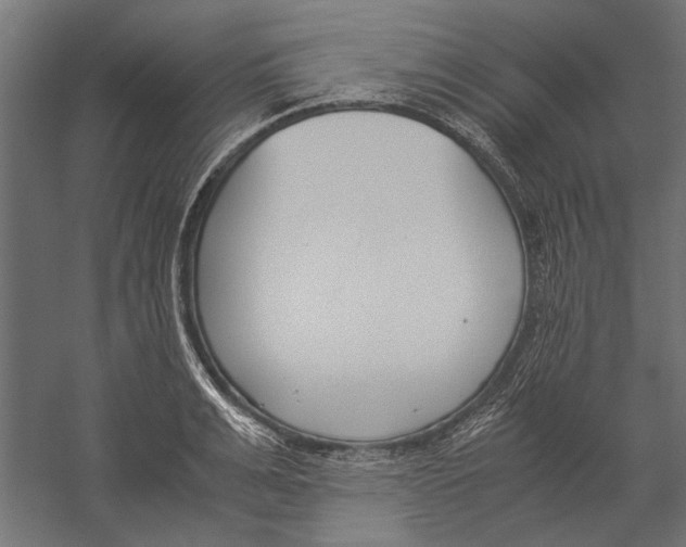 X0000060230991200511241302