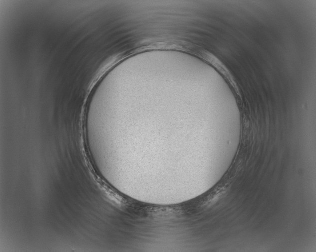 X0000060231002200511241301