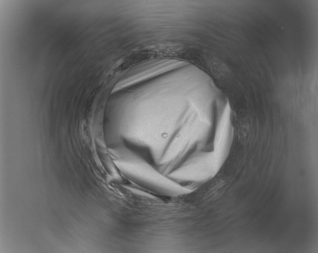 X0000060231010200511241300