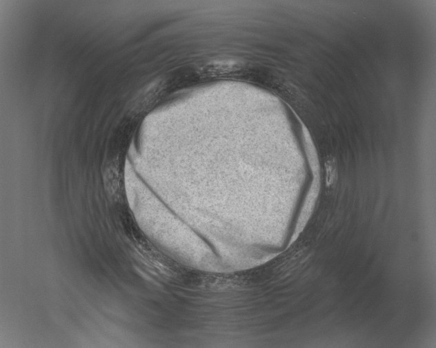 X0000060231011200511241300