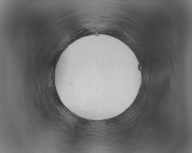 X0000060231012200511241301
