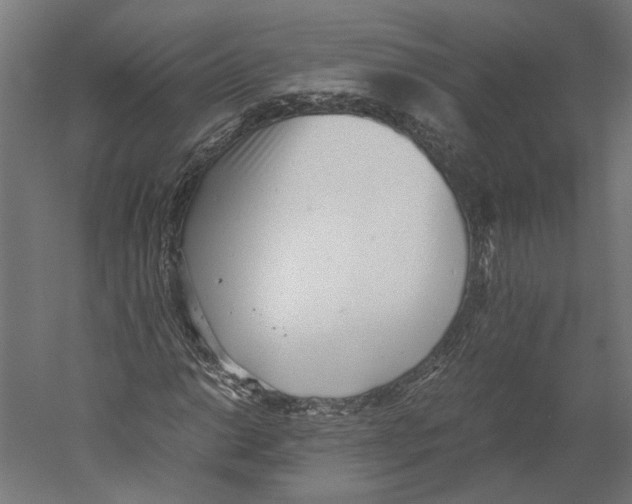 X0000060231014200511241301