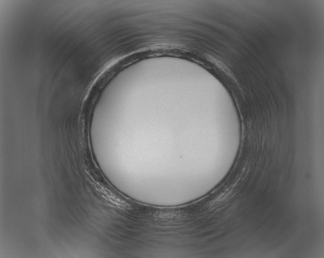 X0000060231021200511241301
