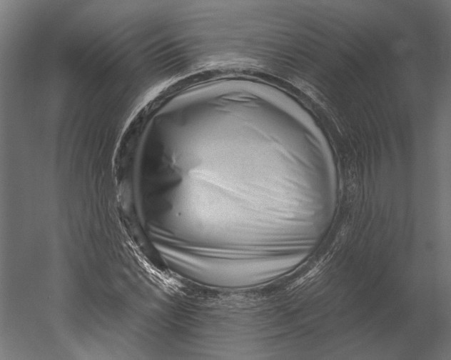 X0000060231022200511241301