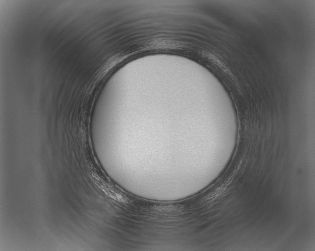 X0000060231025200511241301