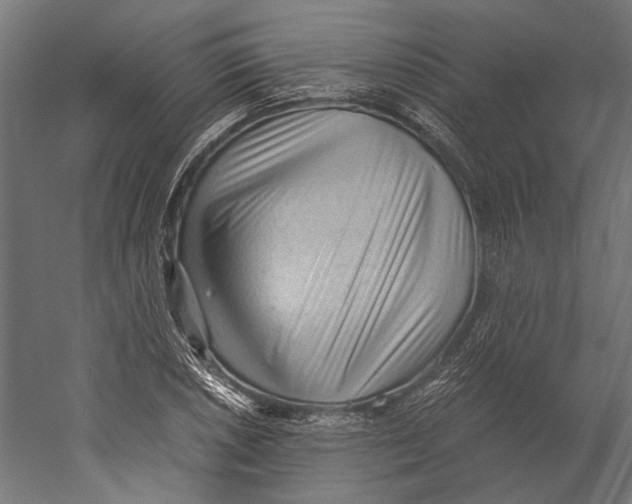X0000060231026200511241301
