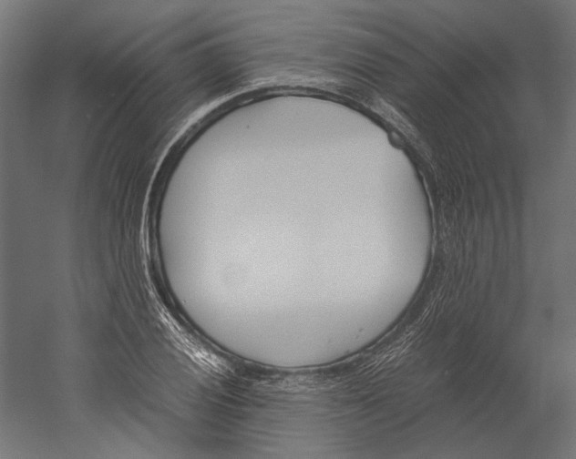 X0000060231028200511241301