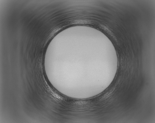 X0000060231033200511241301