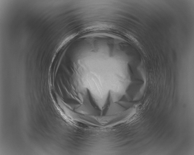 X0000060231034200511241301
