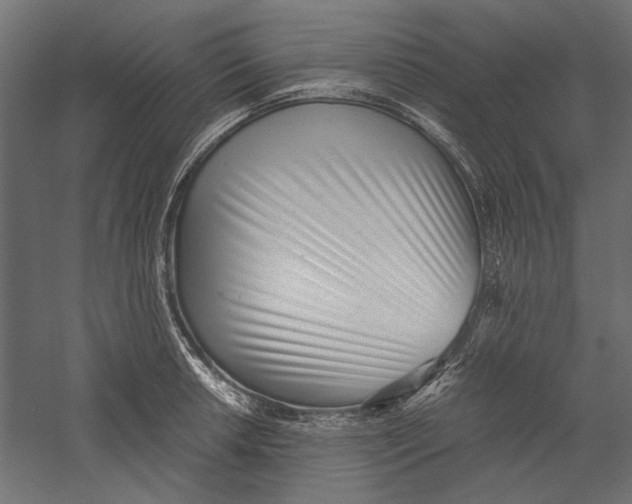 X0000060231042200511241301