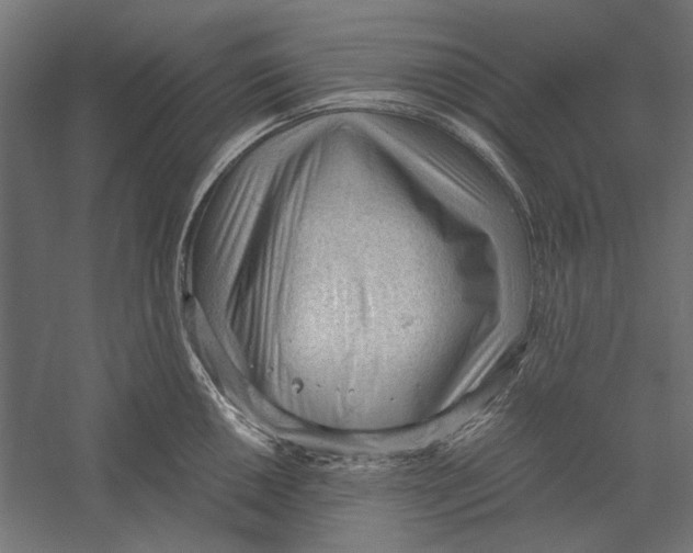 X0000060231050200511241301