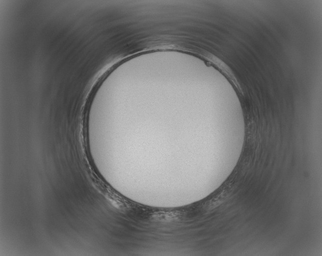 X0000060231051200511241301