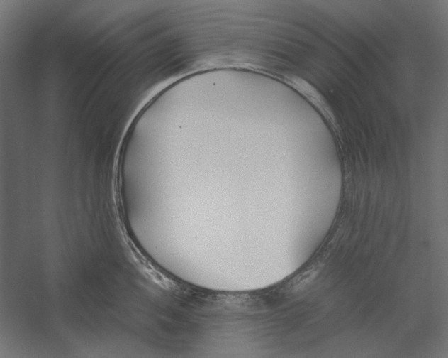 X0000060231052200511241301
