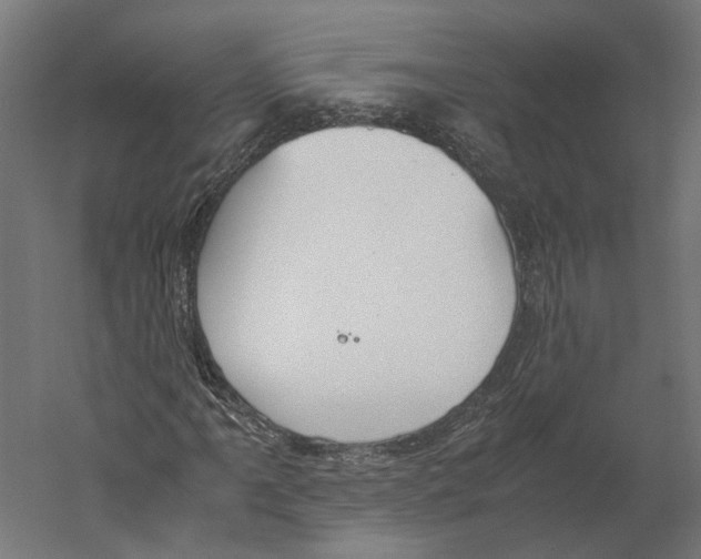X0000060231061200511241300