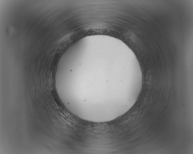 X0000060231062200511241300