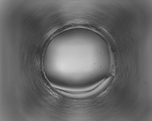 X0000060231065200511241300