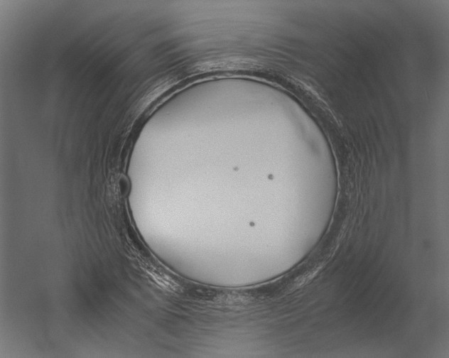 X0000060231073200511241300