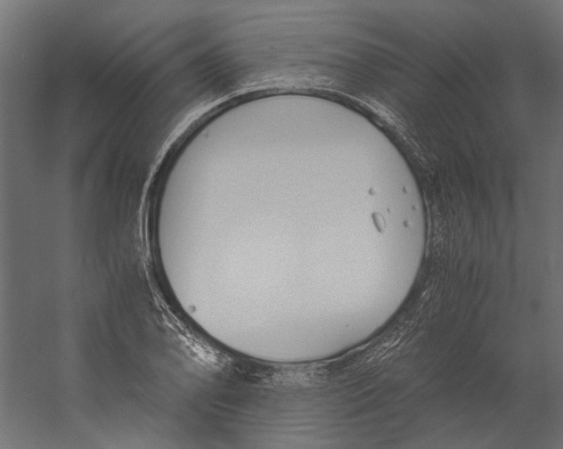X0000060231078200511241300