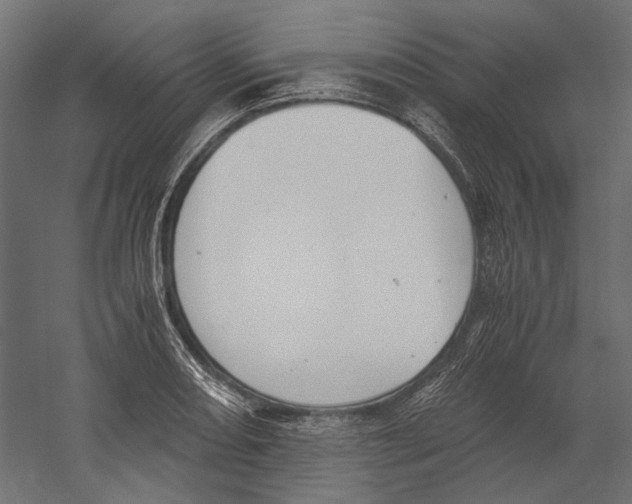 X0000060231082200511241300