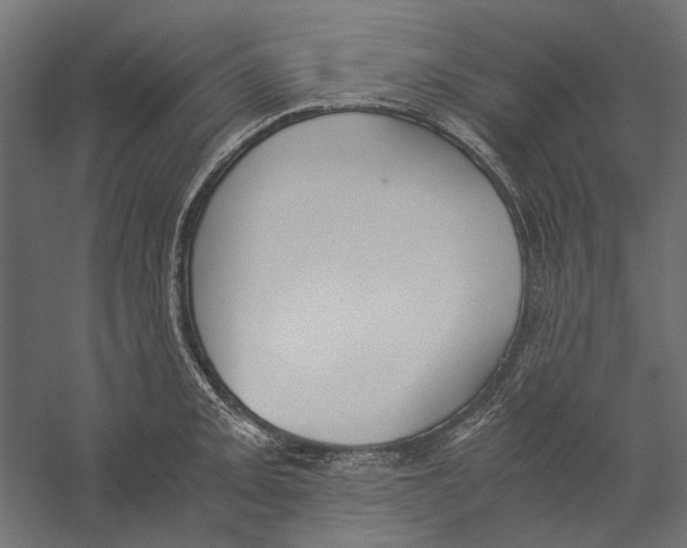 X0000060231093200511241300