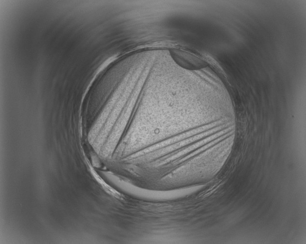 X0000060231095200511241300