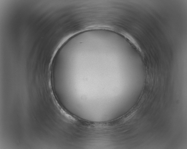 X0000060231102200511241300