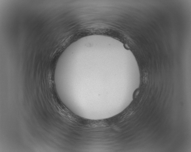 X0000060231108200511241259