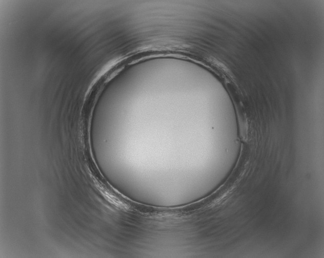 X0000060231114200511241259