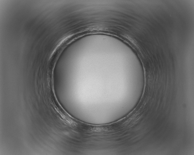 X0000060231115200511241259