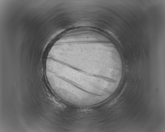 X0000060231117200511241259