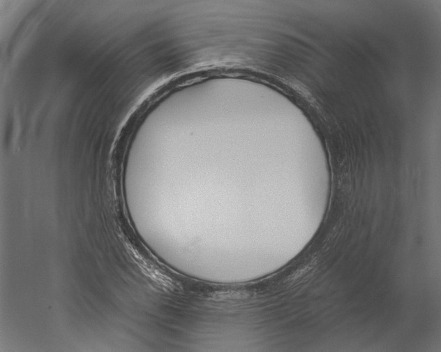 X0000060231118200511241259
