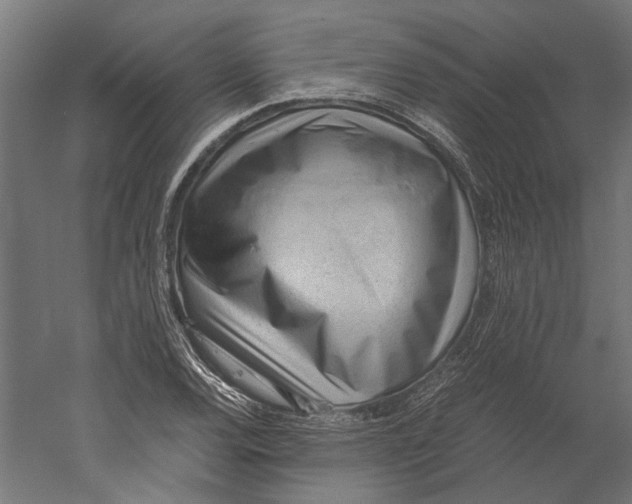 X0000060231120200511241259