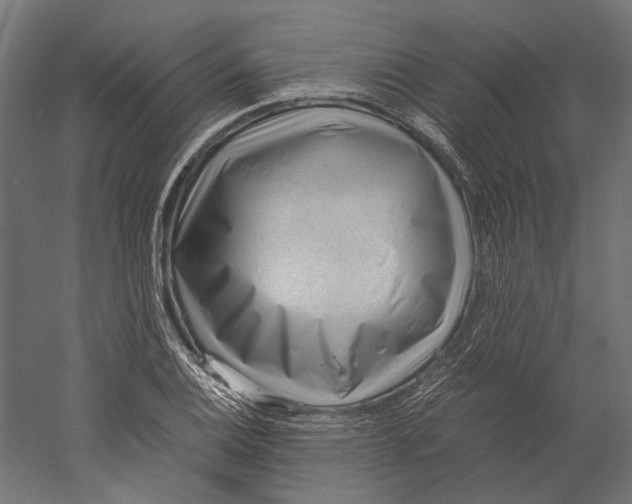 X0000060231124200511241259