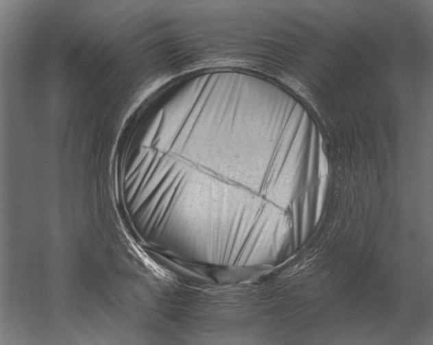 X0000060231127200511241259