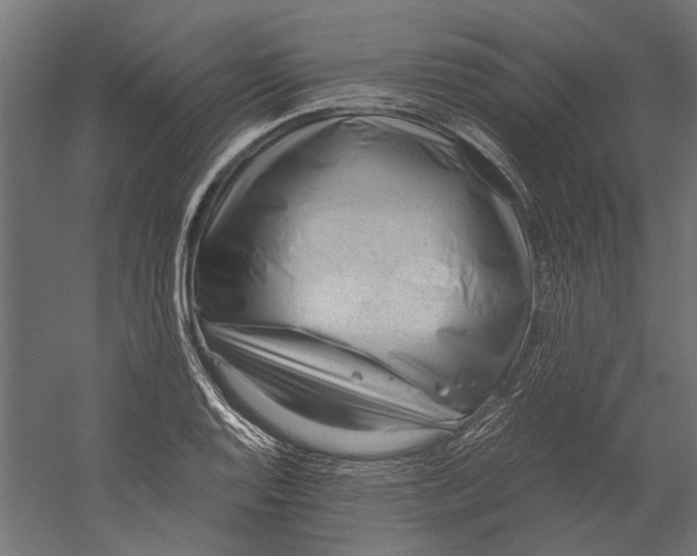 X0000060231128200511241259
