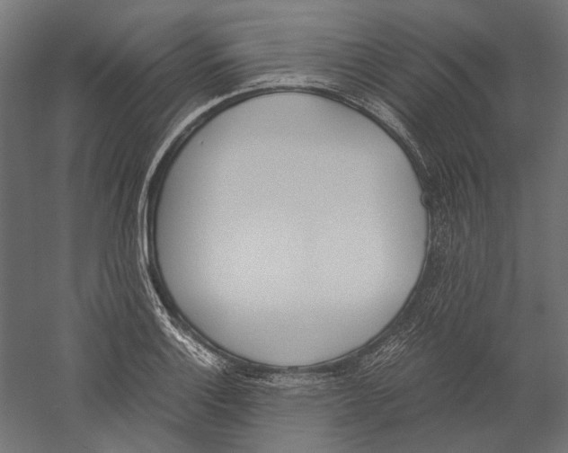 X0000060231132200511241259