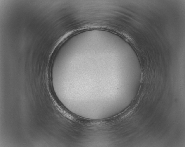X0000060231134200511241259