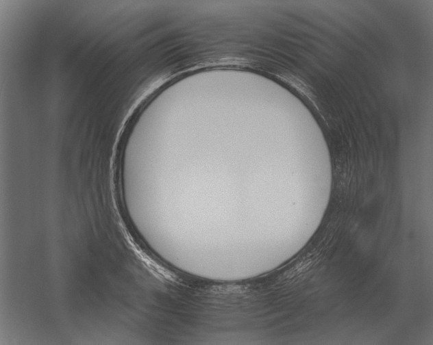 X0000060231135200511241259