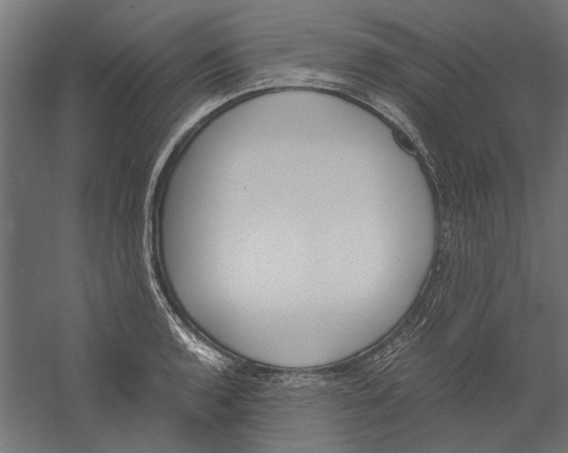 X0000060231136200511241259