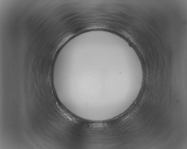 X0000060231137200511241259