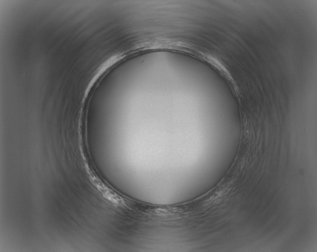 X0000060231138200511241259