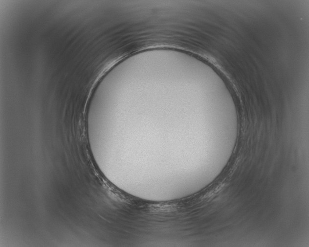 X0000060231145200511241259