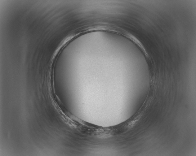 X0000060231146200511241259