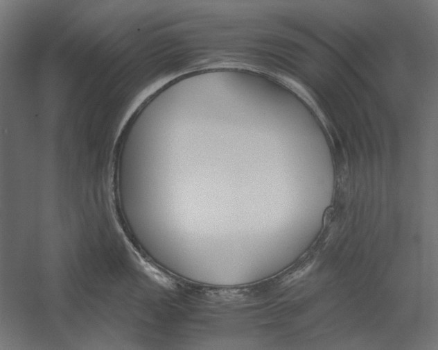 X0000060231149200511241300