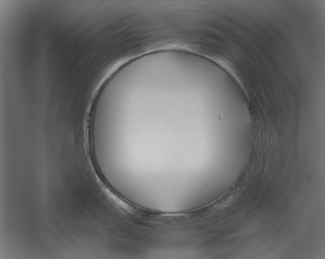 X0000060231151200511241300