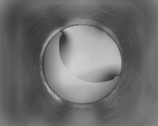 X0000060231152200511241300