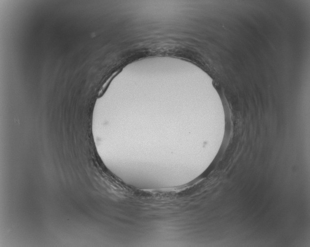 X0000060231153200511241259