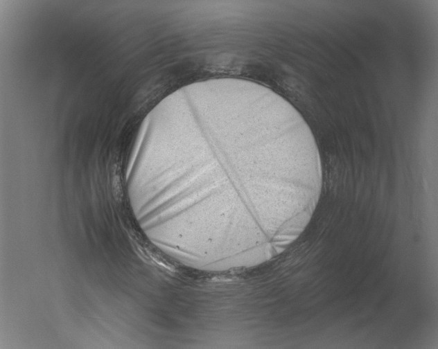 X0000060231154200511241259
