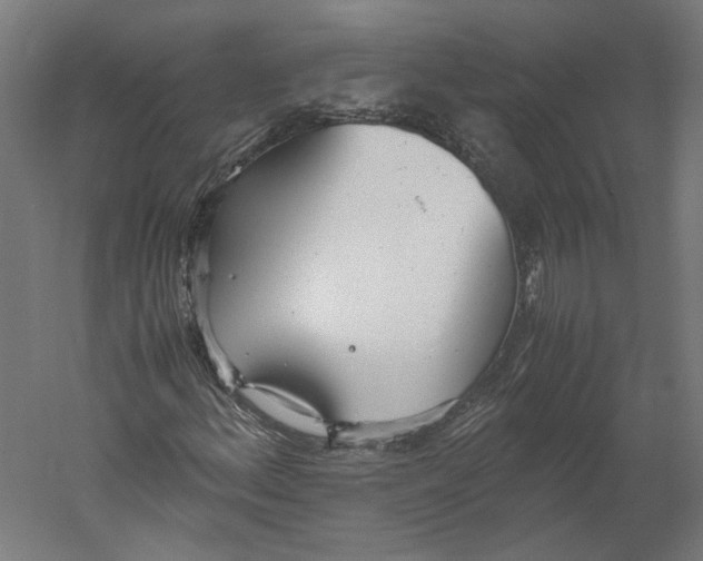 X0000060231156200511241259
